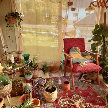 Séjour chez l'habitant Joey's