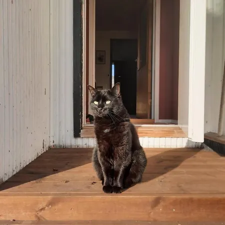 Joey's Séjour chez l'habitant *