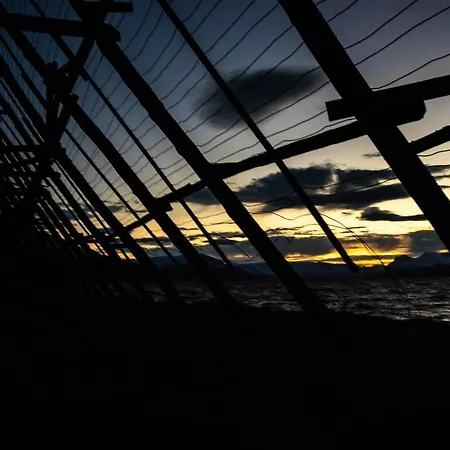 Joey's Séjour chez l'habitant Skjervoy