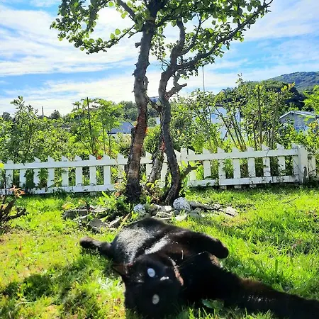 Joey's Homestay Skjervoy