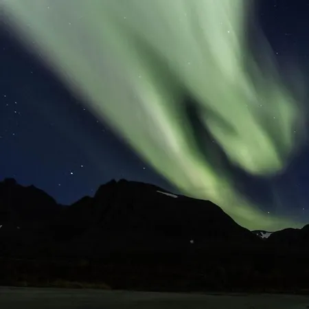 Séjour chez l'habitant Joey's *