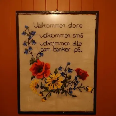 Joey's Séjour chez l'habitant Skjervoy